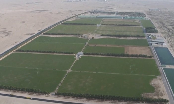 Katar chystá fotbalové mistrovství. Dělníci umírají horkem a v poušti roste drahý zelený trávník